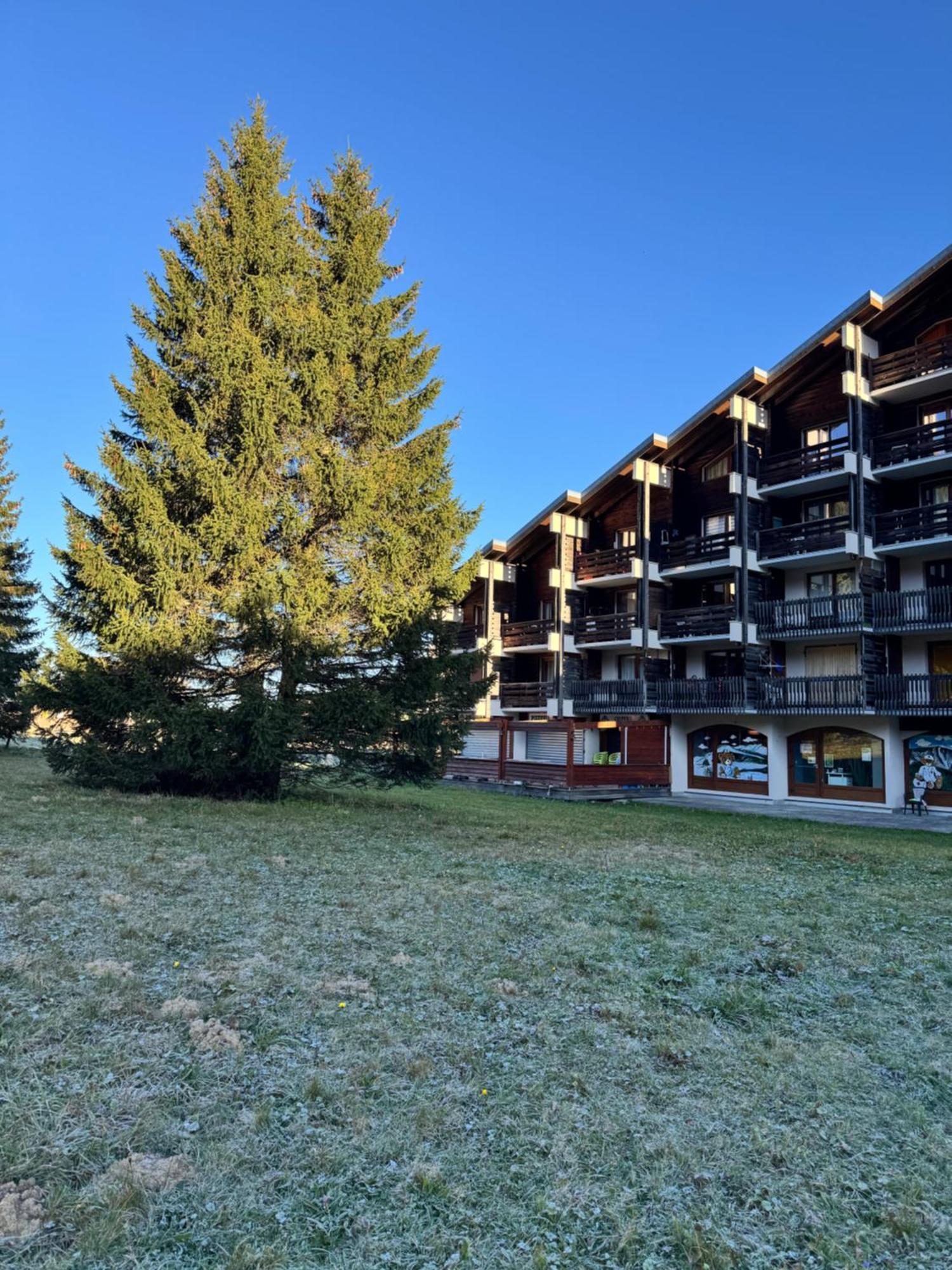 Superbe Studio De Montagne, Au Pied Des Pistes De Ski, Classe 3 Etoiles La Morte Dış mekan fotoğraf